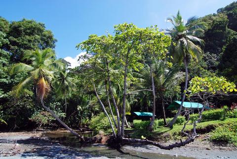 La Leona Eco Lodge Costa Rica