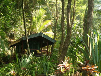 La Leona Lodge photo 5