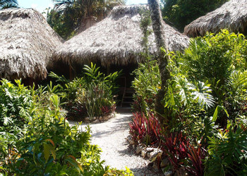 Lamanai Outpost Lodge photo 5