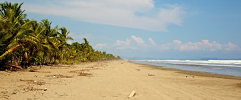 Las Lajas Beach Resort photo 4