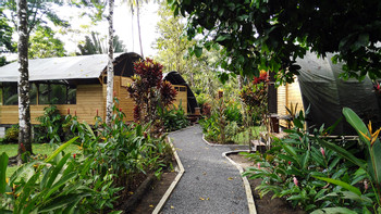 Lirio Lodge photo 3