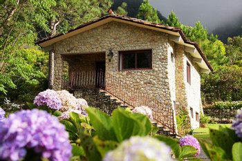 Los Mandarinos photo 4