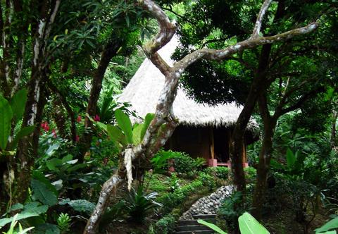 Luna Lodge Costa Rica