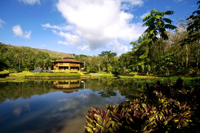 Macaw Lodge photo