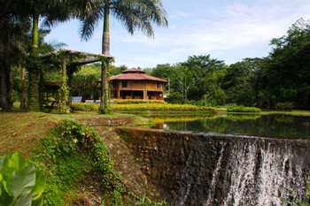 Macaw Lodge photo 5