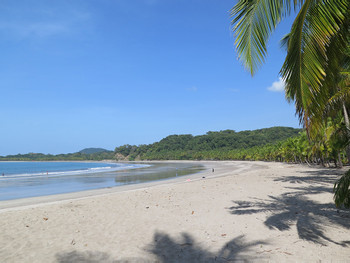 Nammbú Beachfront Bungalows photo 5