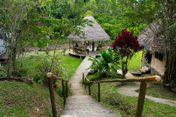 Napo Wildlife Center photo 5