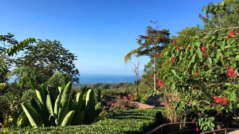Oxygen Jungle Villas Costa Rica