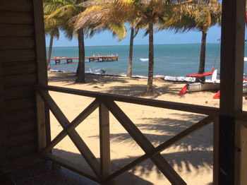 Cabinas Palm Cove photo 3