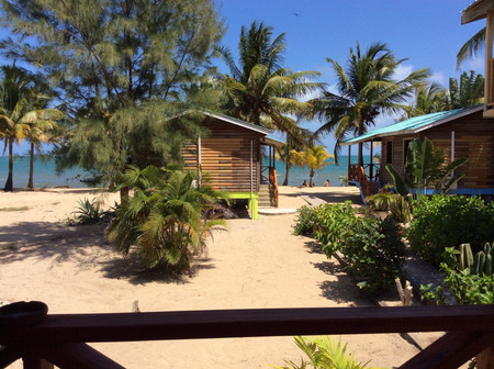 Cabinas Palm Cove photo 2