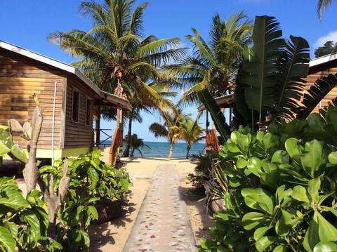 Cabinas Palm Cove