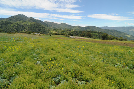 Panamonte Inn & Spa photo 3