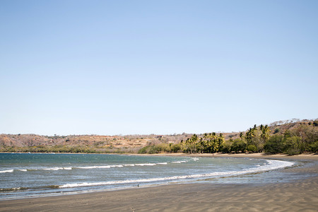 Papagayo Golden Palms photo 3