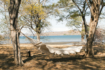 Papagayo Golden Palms photo 2