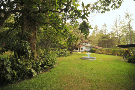 Park Eden B&B photo 3