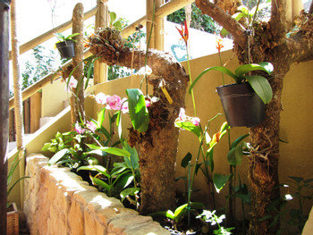 Posada Nena photo 5