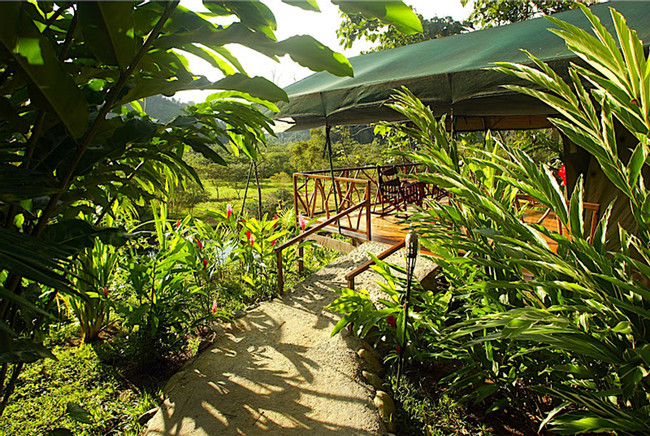 Rafiki Safari Lodge photo