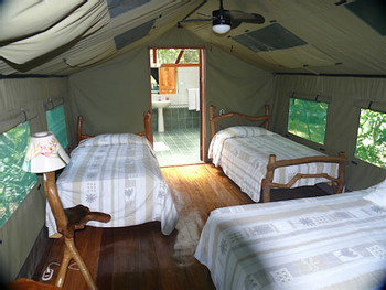 Rafiki Safari Lodge photo 4