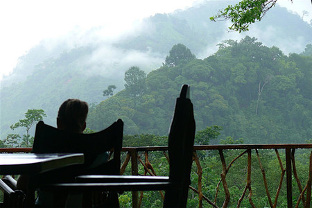 Rafiki Safari Lodge photo 3