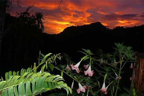 Rafiki Safari Lodge Costa Rica