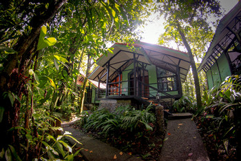 Tapirus Lodge photo 4