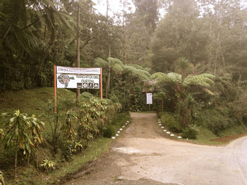 Reserva Natural Ranchitos del Quetzal photo 4