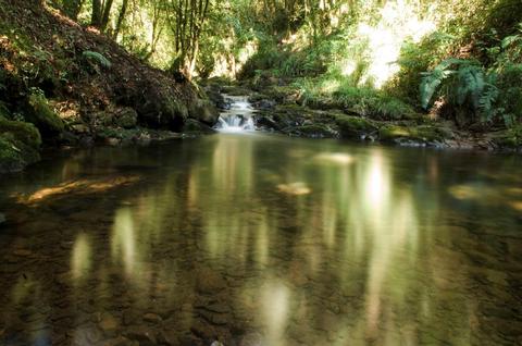 RESERVA NATURAL LOS RANCHITOS ALTA VERAPAZ GUATEMALA