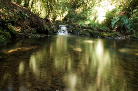 Reserva Natural Ranchitos del Quetzal photo 3