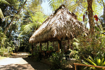 Reserva Natural Ranchitos del Quetzal photo 2