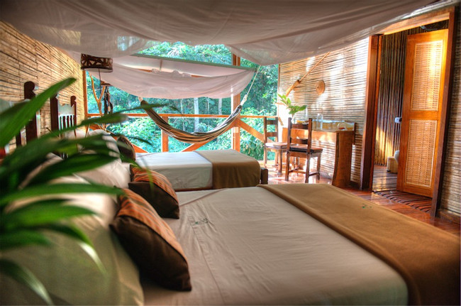 Refugio Amazonas photo