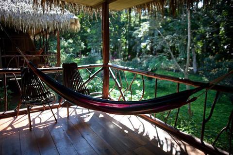 Sacha Lodge at Yasuni National Park Ecuador