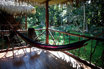 Sacha Lodge at Yasuni National Park photo 4