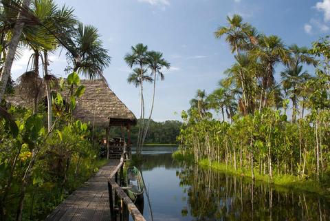 Sacha Lodge at Yasuni National Park Ecuador