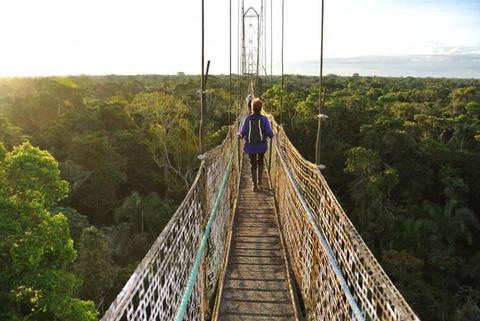 Sacha Lodge en el Parque Nacional Yasuní Ecuador