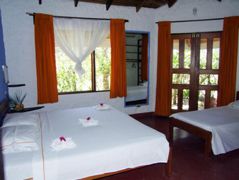 Samara Pacific Lodge photo 4