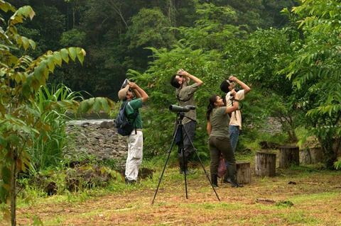 Selva Verde Lodge and Rainforest Reserve Costa Rica