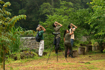 Selva Verde Lodge and Rainforest Reserve photo 2
