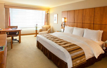 Swissotel photo 2