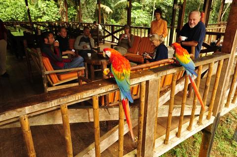 Tambopata Research Center Peru