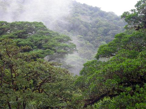 Terra Viva Costa Rica