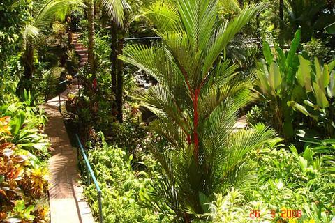 Resort The Falls en Manuel Antonio