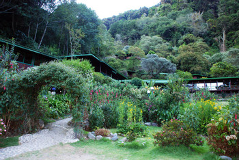 Trogón Lodge photo 5