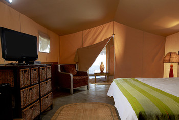Vichayito Bungalows and Tents photo 4