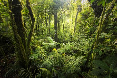 Villa Blanca Hotel and Nature Reserve Costa Rica