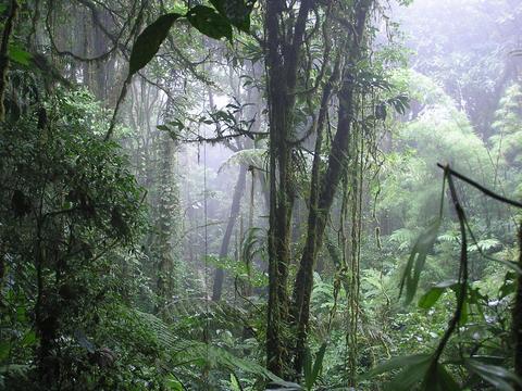 Villa Blanca Hotel & Nature Reserve Costa Rica