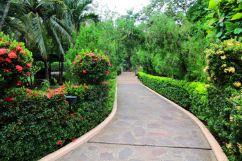 Villa del Sueño Hotel photo 5