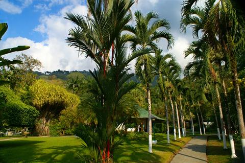 Hotel Villas Río Mar Costa Rica