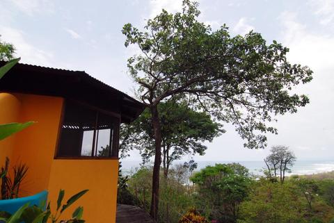 Vista de Olas Costa Rica