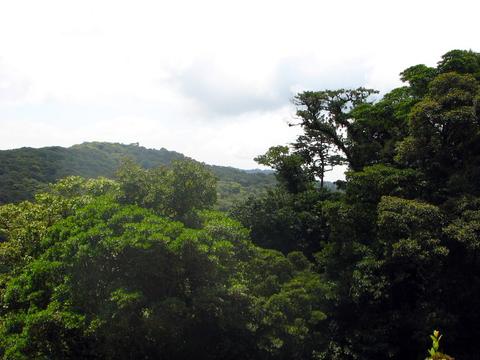 Vista Verde Lodge Costa Rica