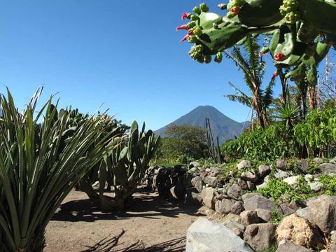 Vulcano Lodge Guatemala